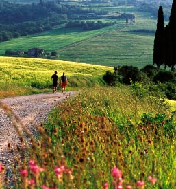 Tuscany Trip